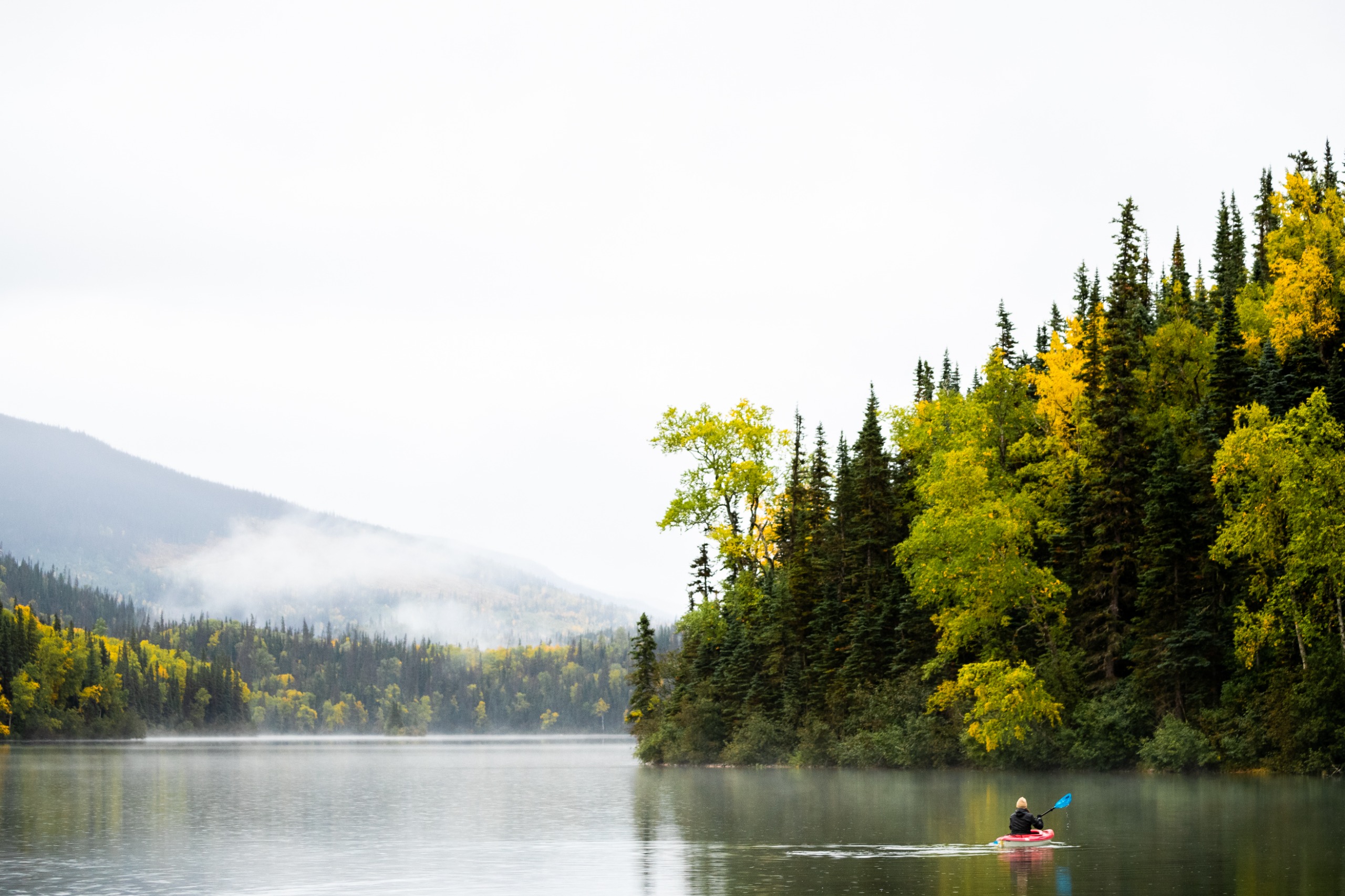 Photo of Mackenzie Nature